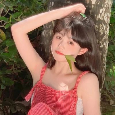 海贼王大冒险官方版下载